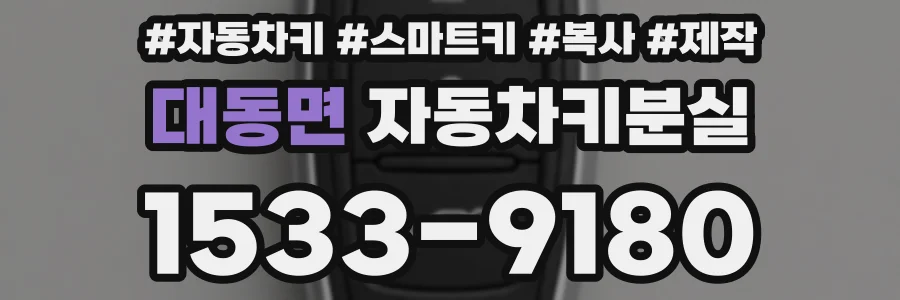 대동면 자동차키분실