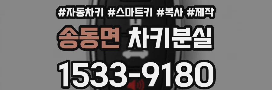 송동면 차키분실