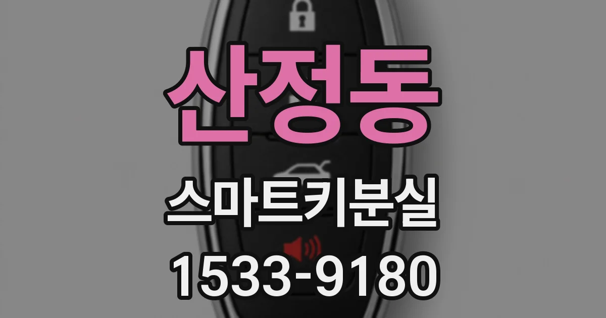 산정동 스마트키분실