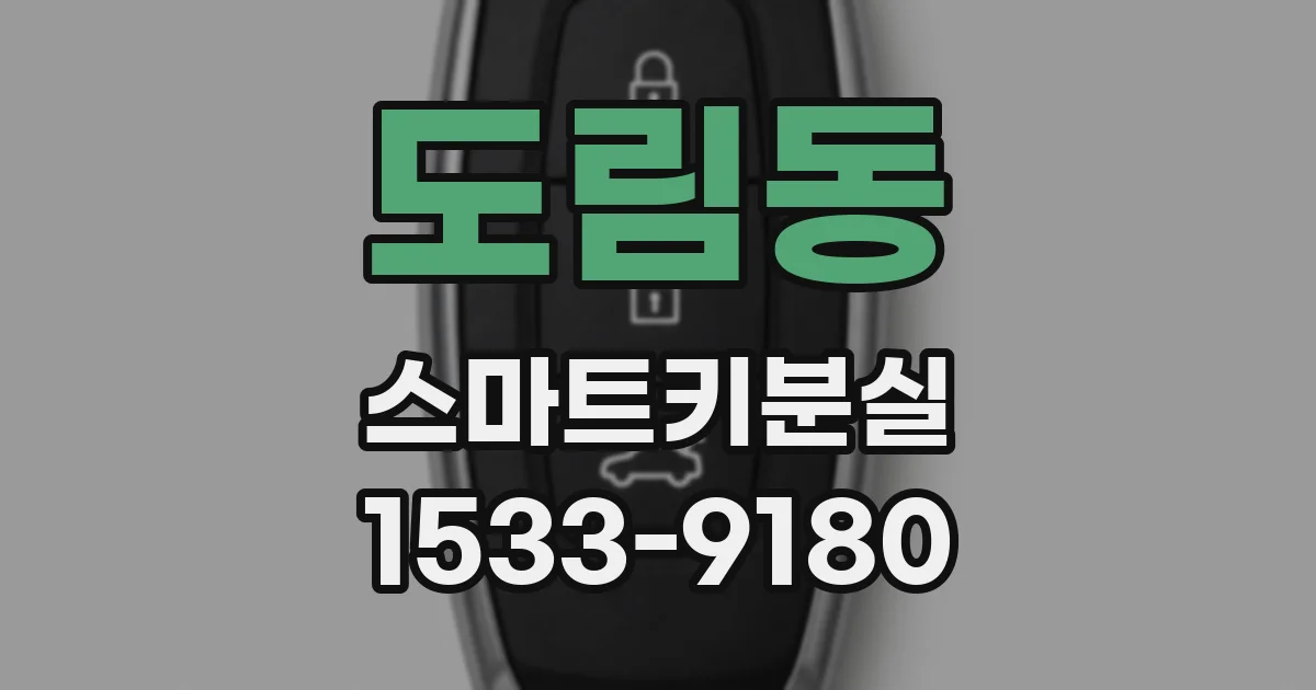 도림동 스마트키분실