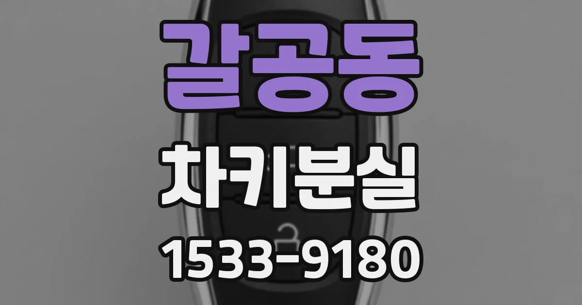 갈공동 차키분실