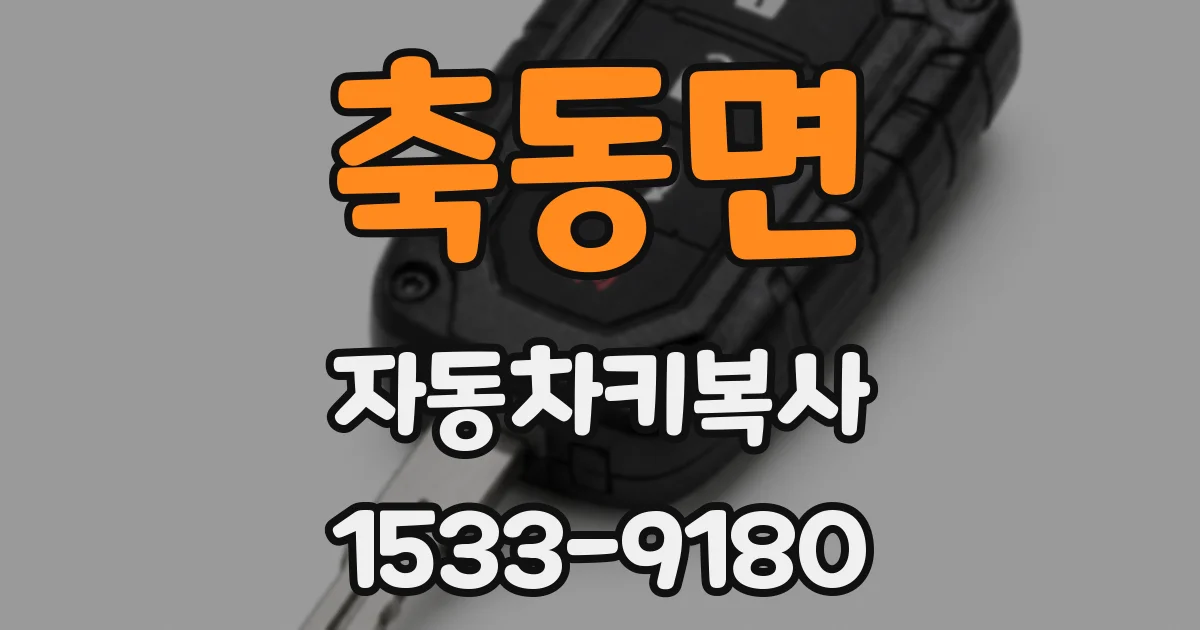 축동면 자동차키복사