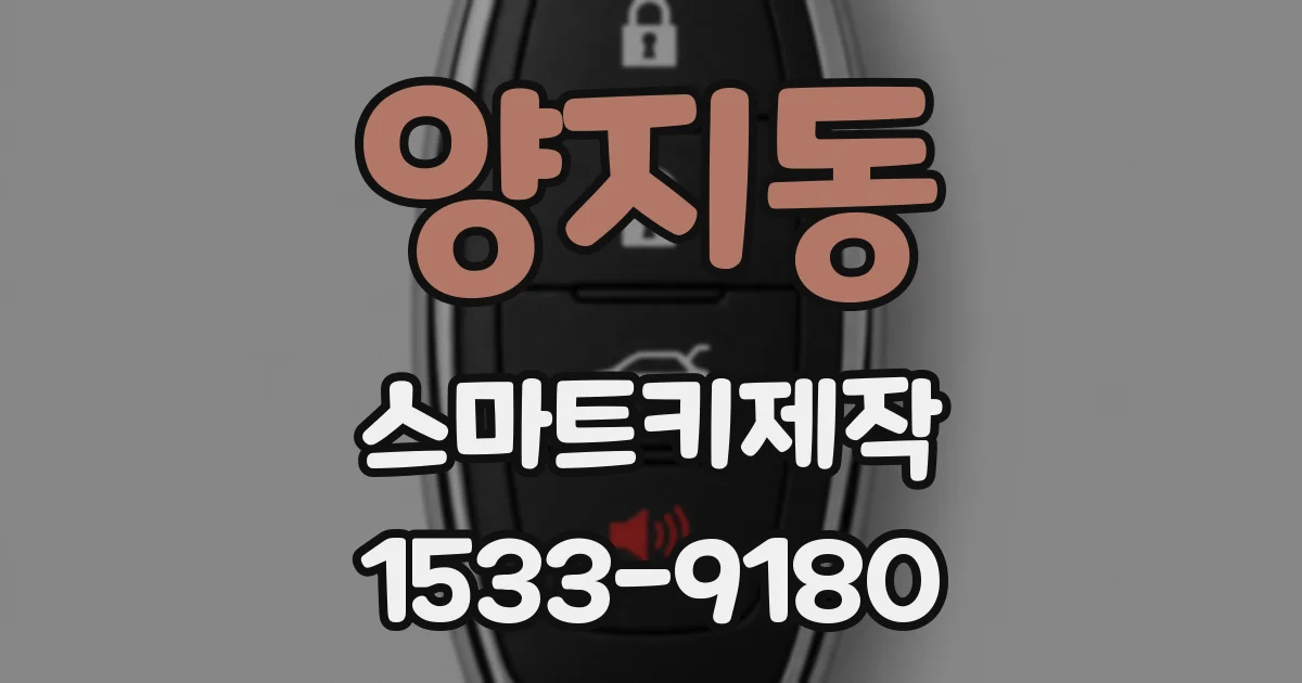 양지동 스마트키제작