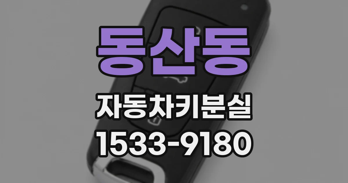 동산동 자동차키분실
