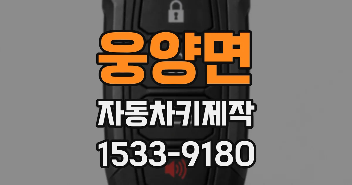 웅양면 자동차키제작