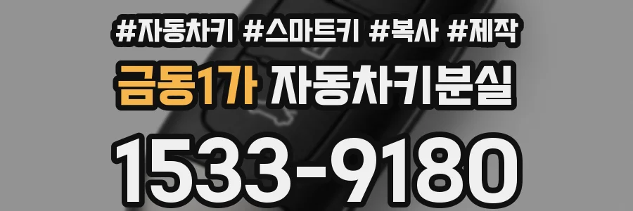 금동1가 자동차키분실