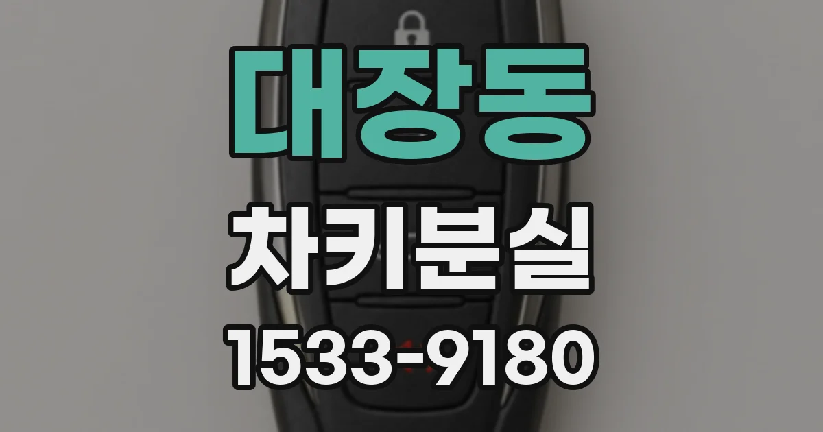 대장동 차키분실