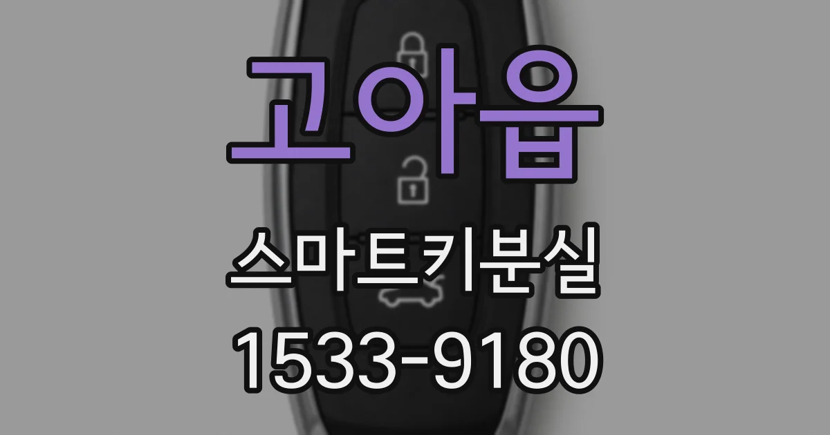 고아읍 스마트키분실