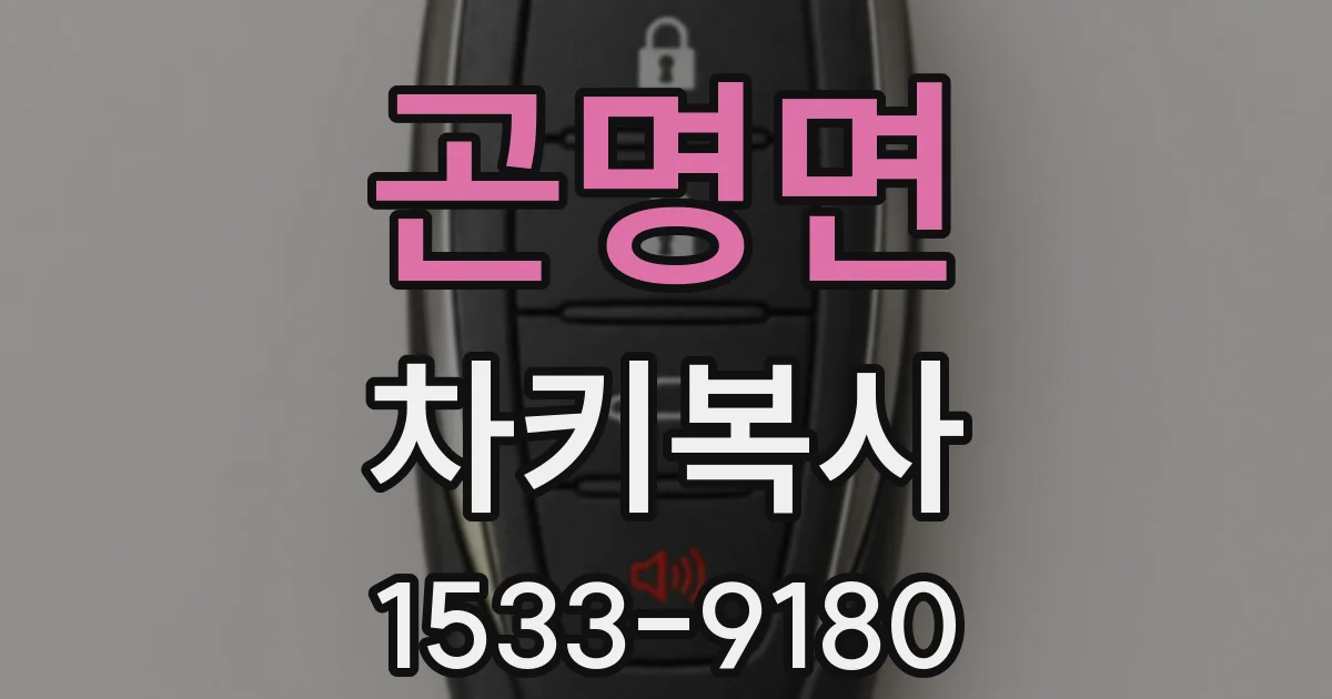 곤명면 차키복사
