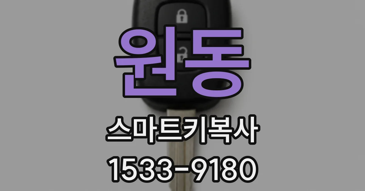 원동 스마트키복사