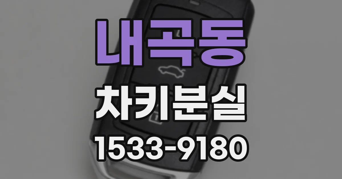 내곡동 차키분실