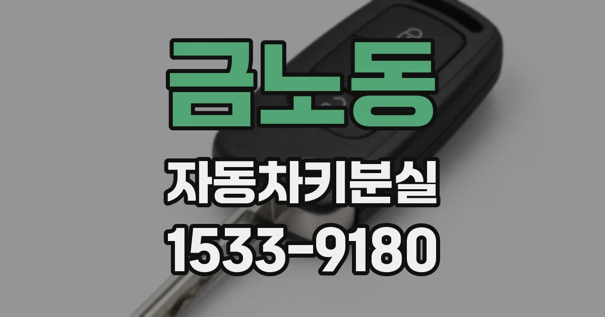금노동 자동차키분실
