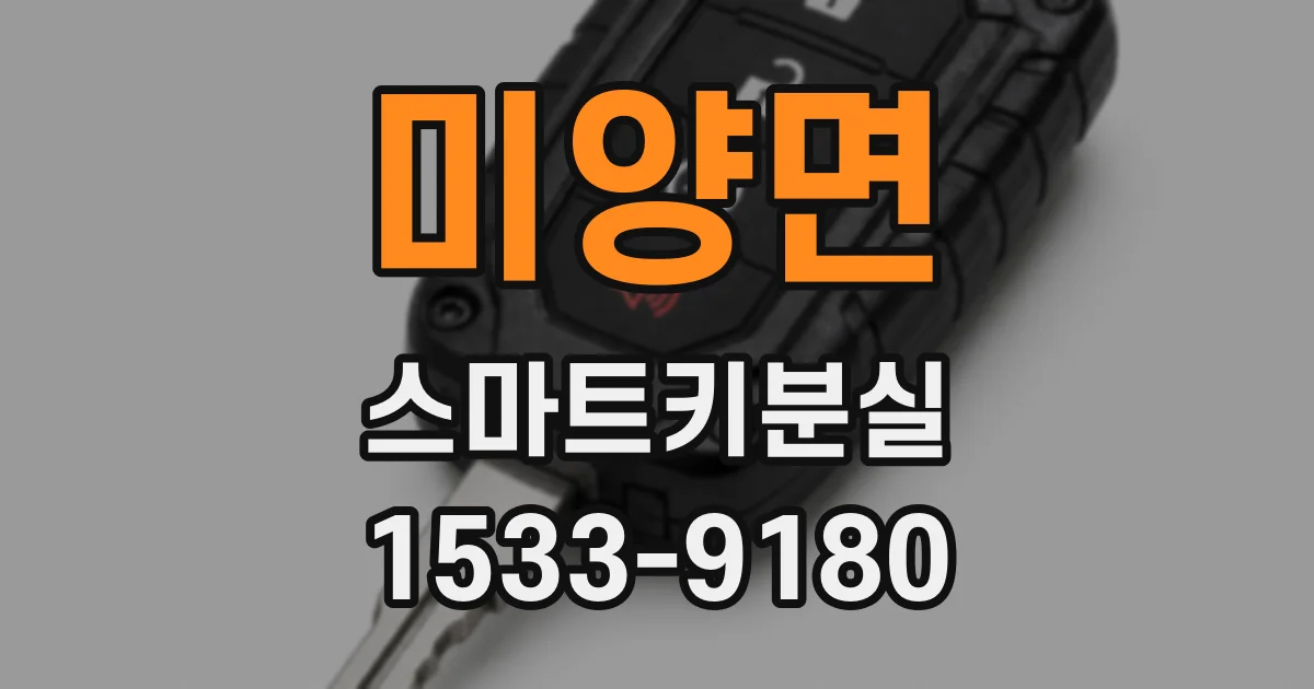 미양면 스마트키분실