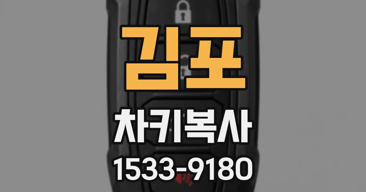 김포 차키복사