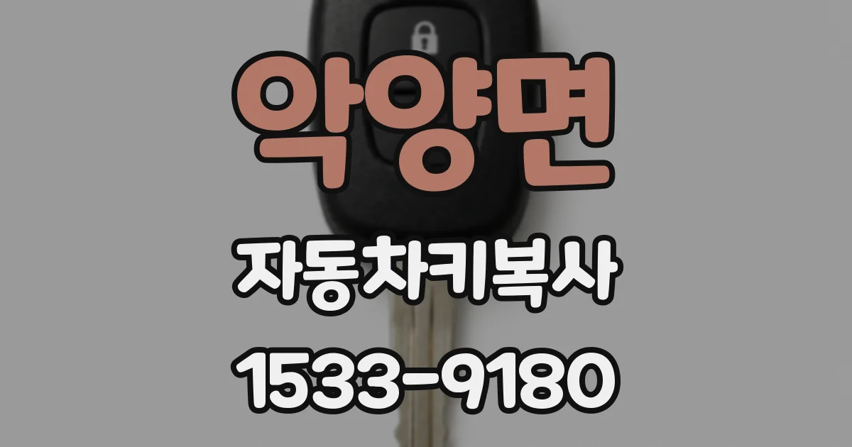 악양면 자동차키복사