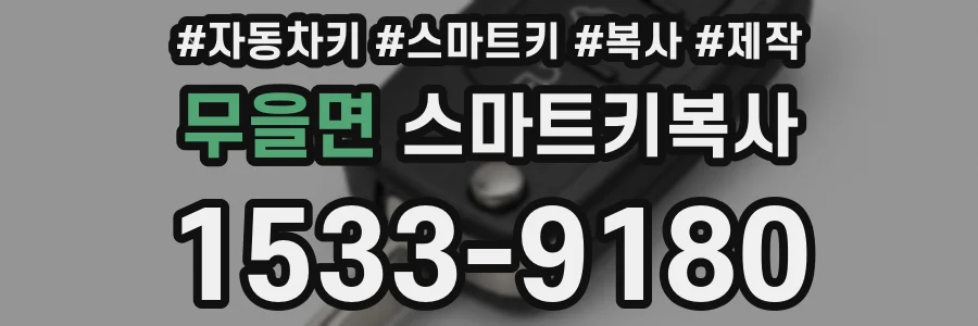 무을면 스마트키복사
