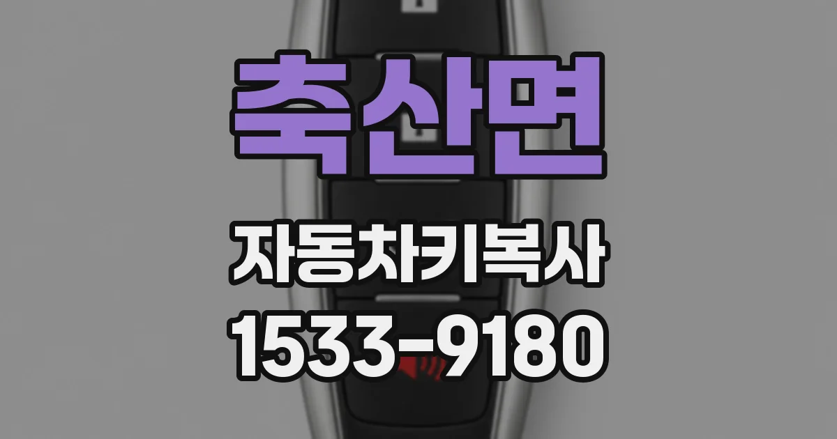 축산면 자동차키복사