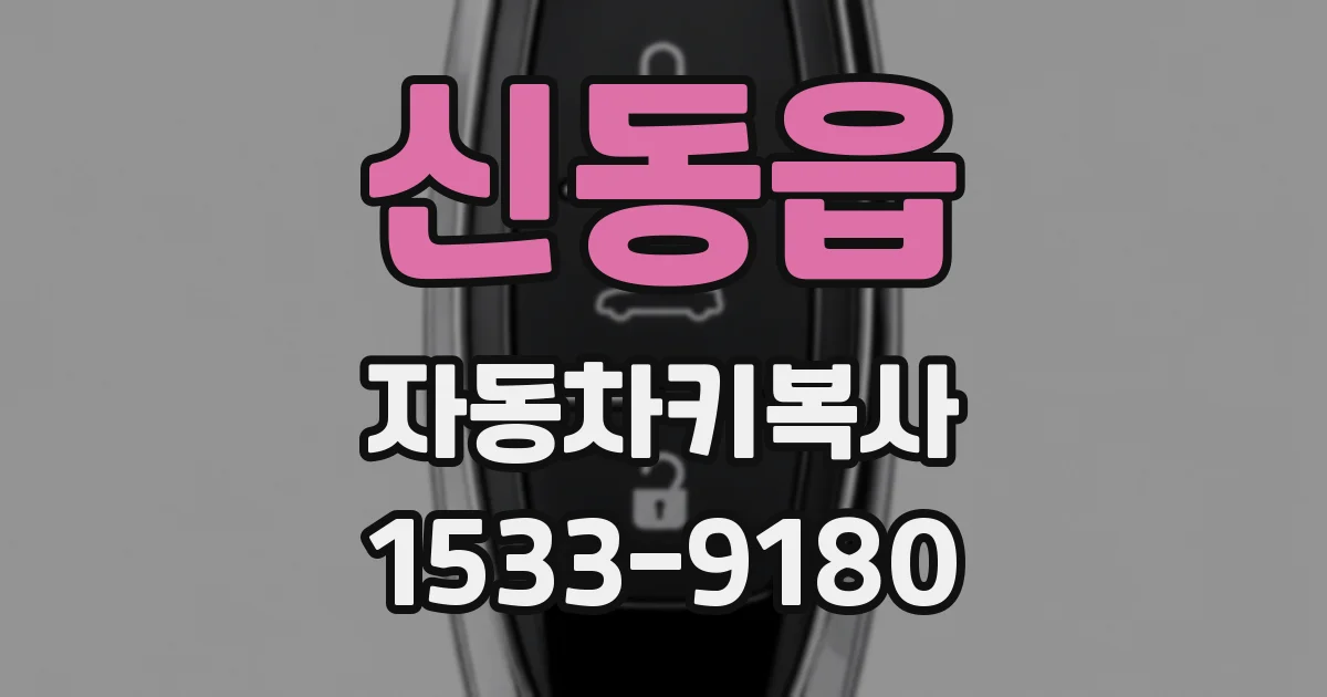 신동읍 자동차키복사