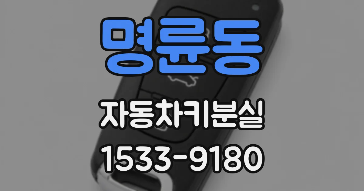 명륜동 자동차키분실