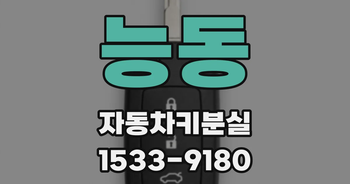 능동 자동차키분실