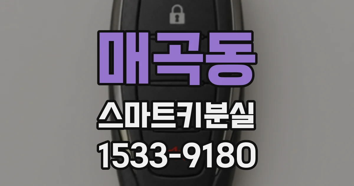 매곡동 스마트키분실