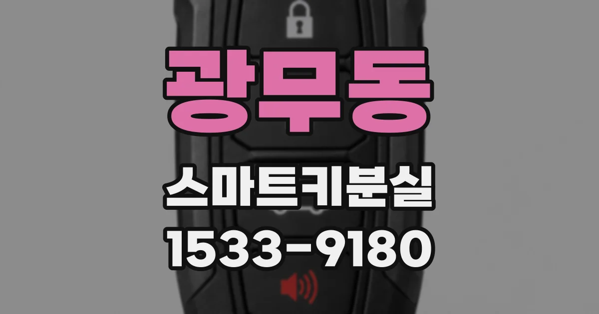 광무동 스마트키분실