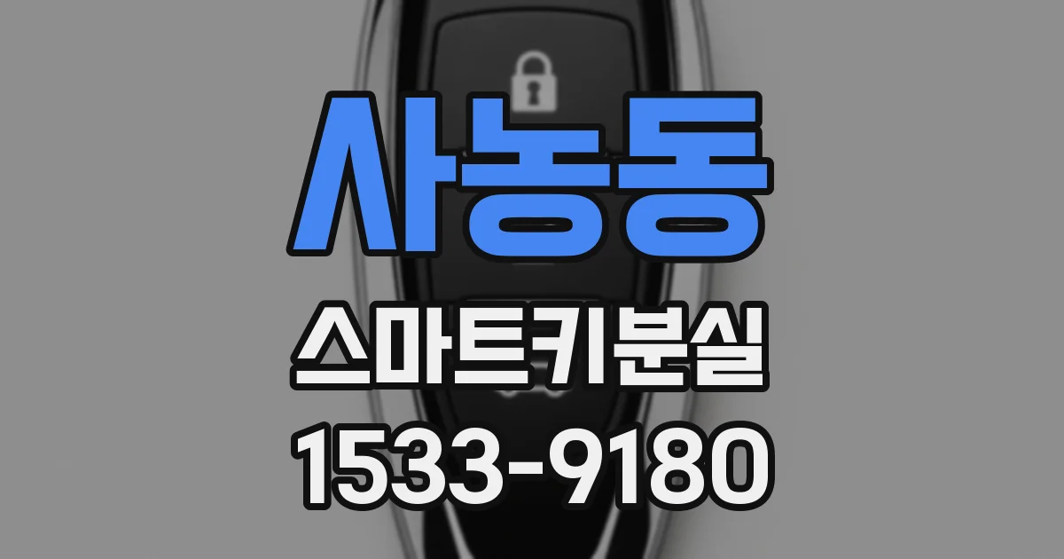 사농동 스마트키분실