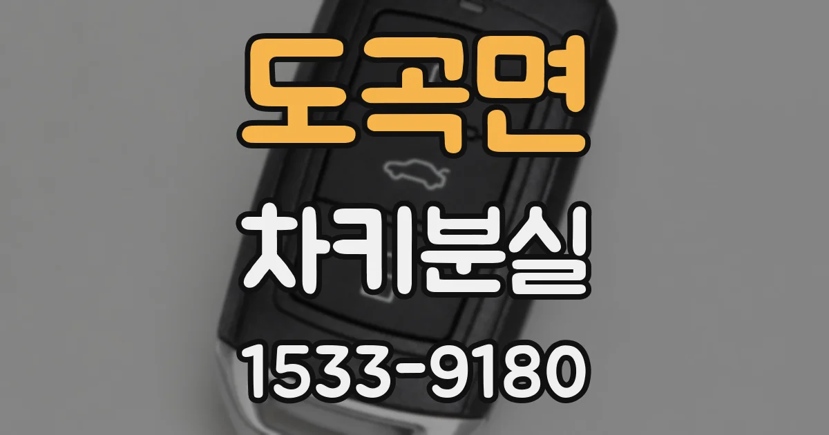 도곡면 차키분실