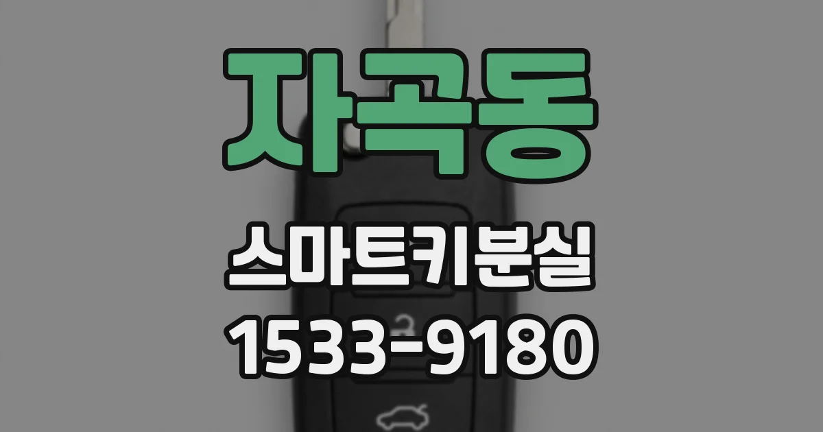 자곡동 스마트키분실
