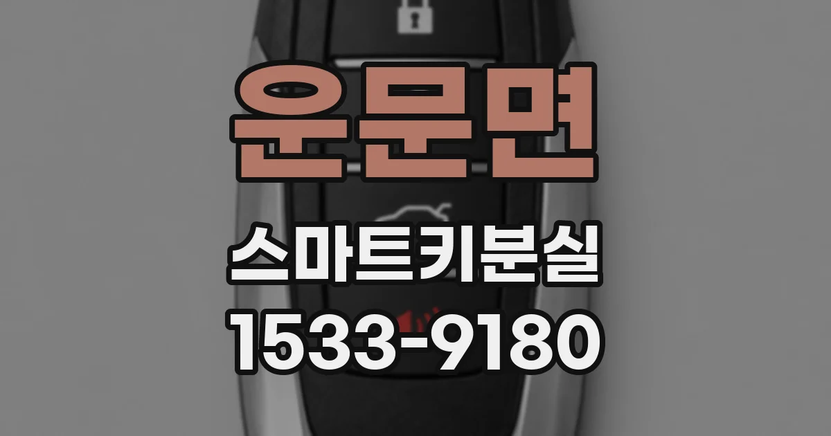 운문면 스마트키분실