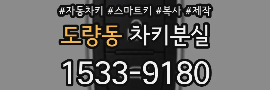 도량동 차키분실