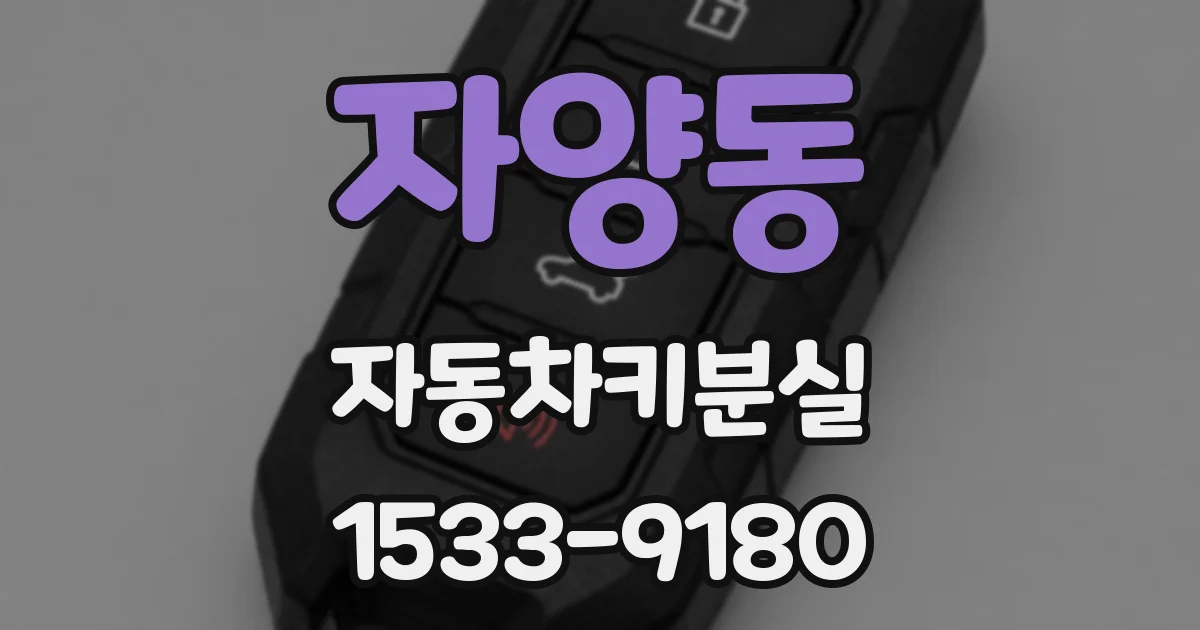 자양동 자동차키분실