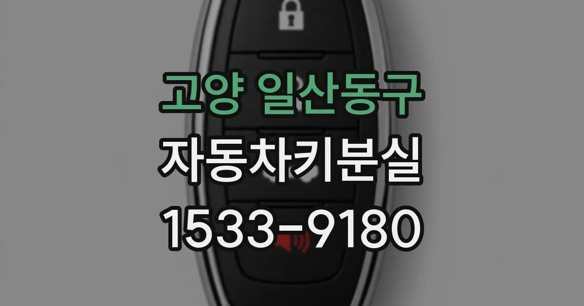 고양 일산동구 자동차키분실