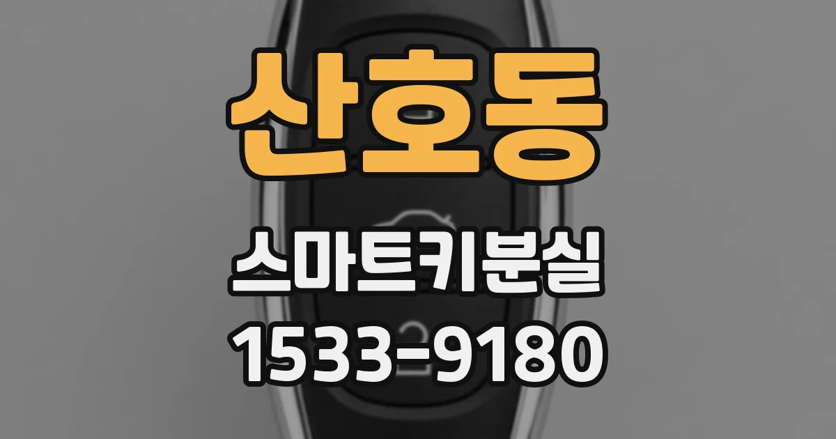 산호동 스마트키분실