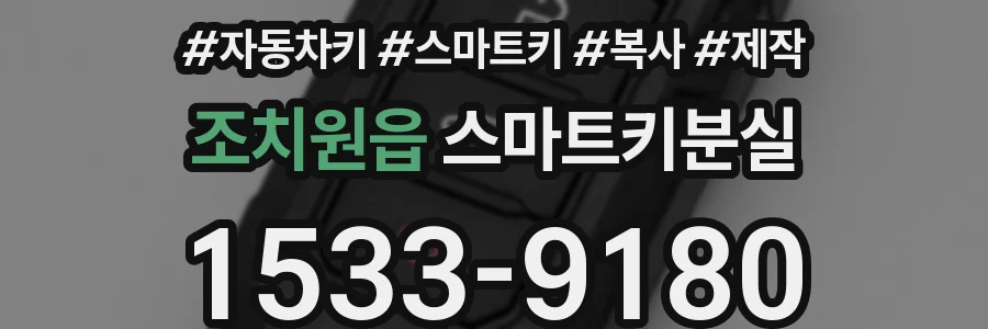 조치원읍 스마트키분실