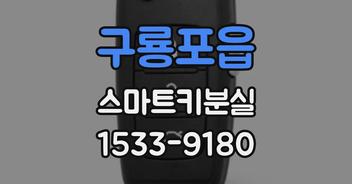 구룡포읍 스마트키분실