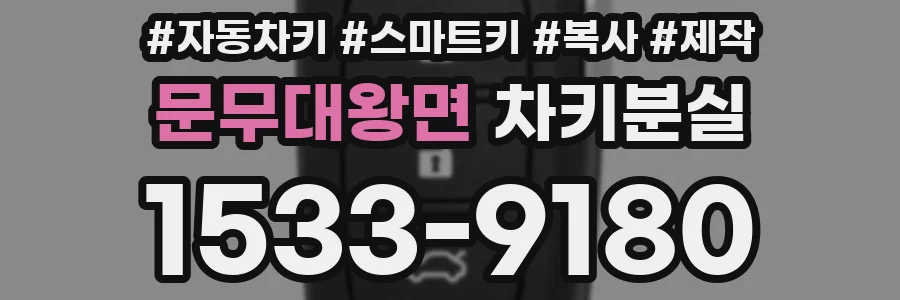 문무대왕면 차키분실