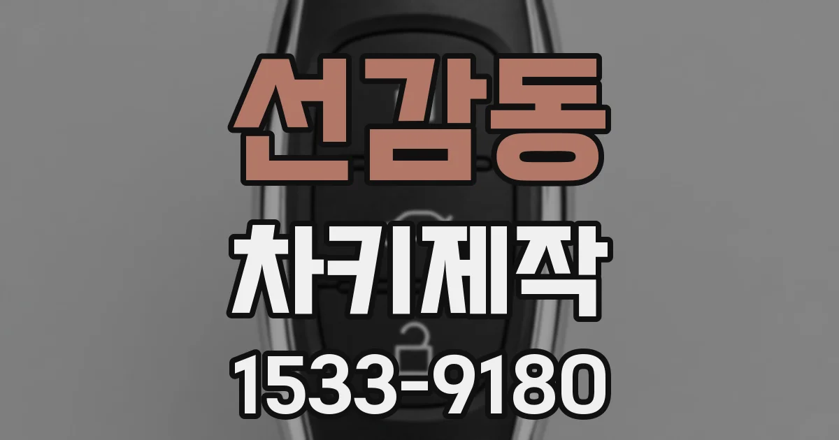 선감동 차키제작