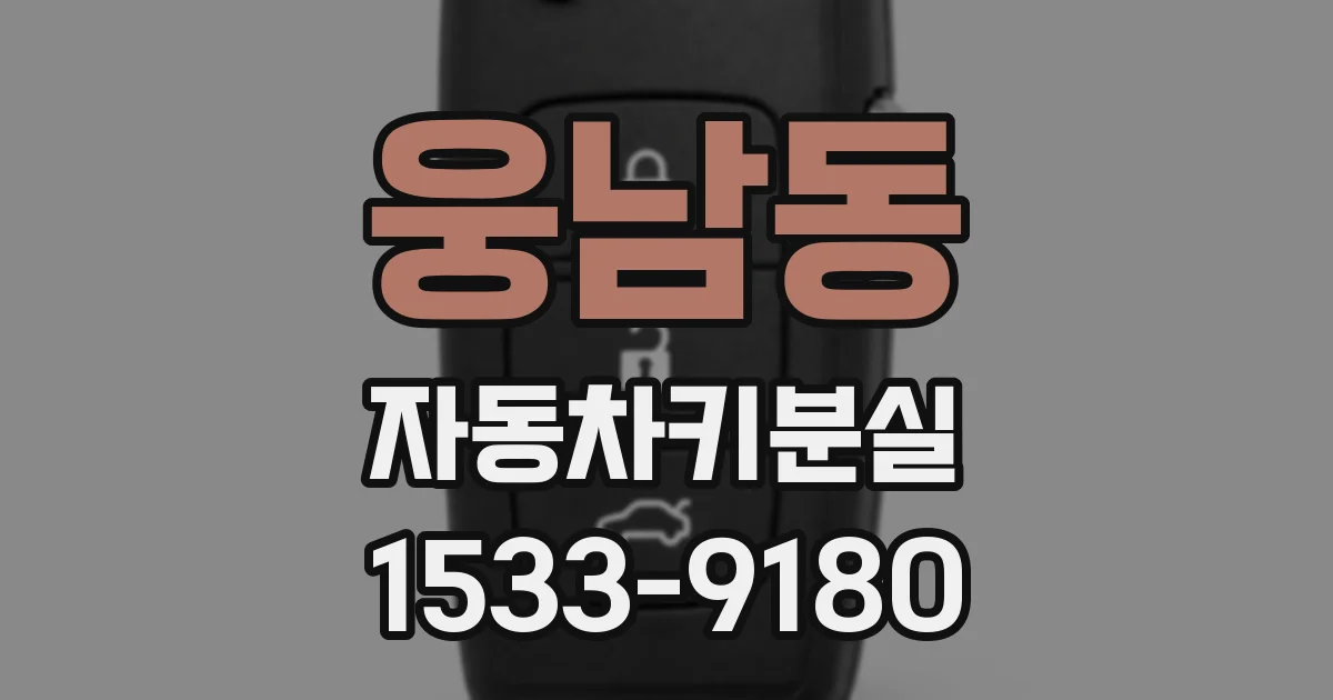 웅남동 자동차키분실