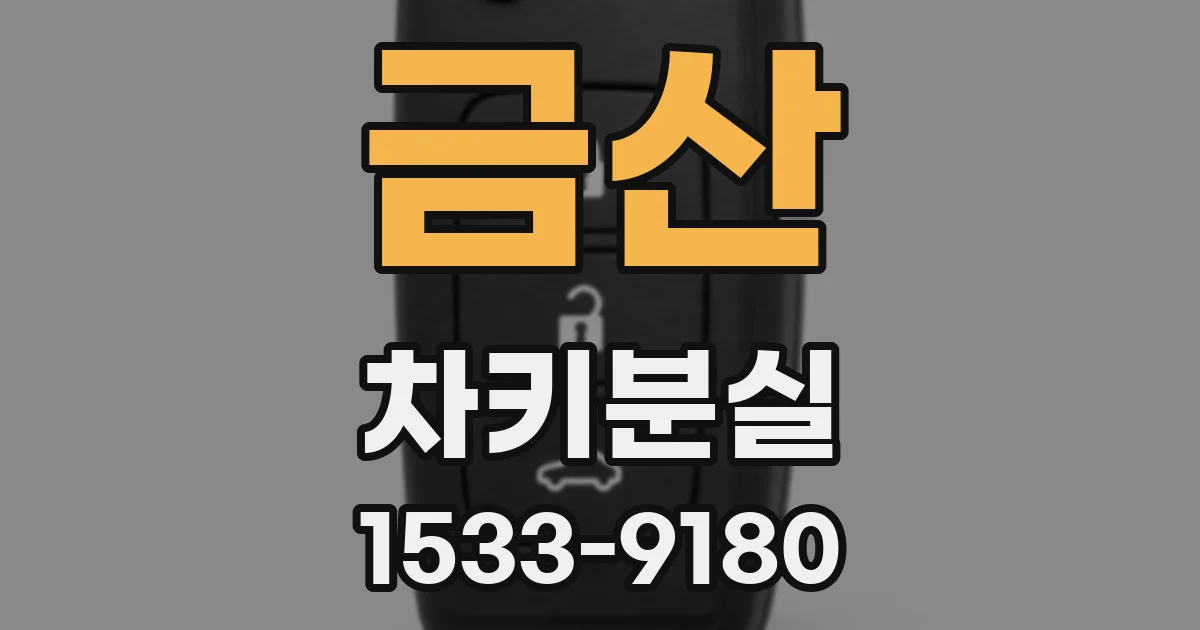 금산 차키분실