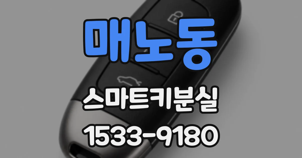매노동 스마트키분실