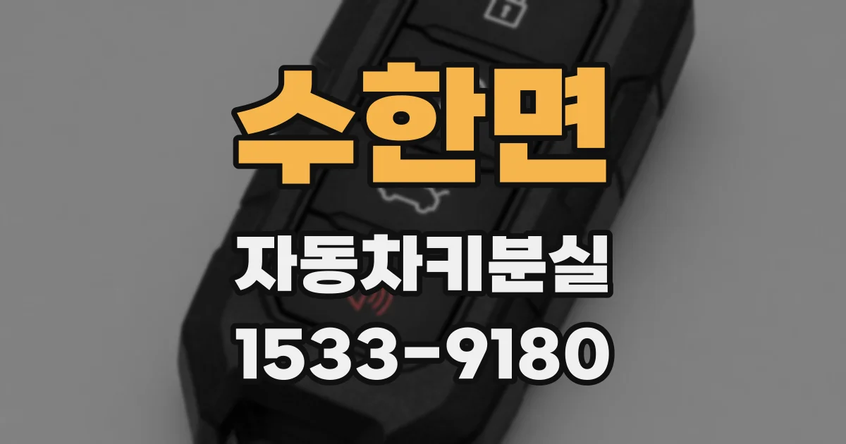 수한면 자동차키분실