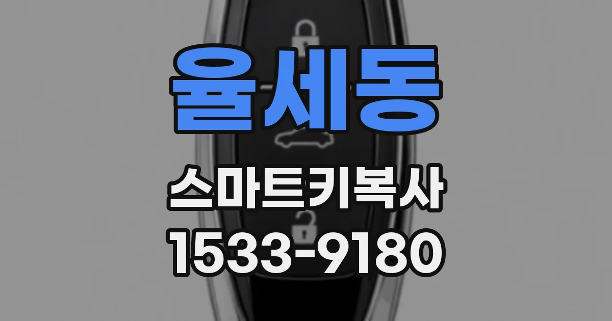 율세동 스마트키복사