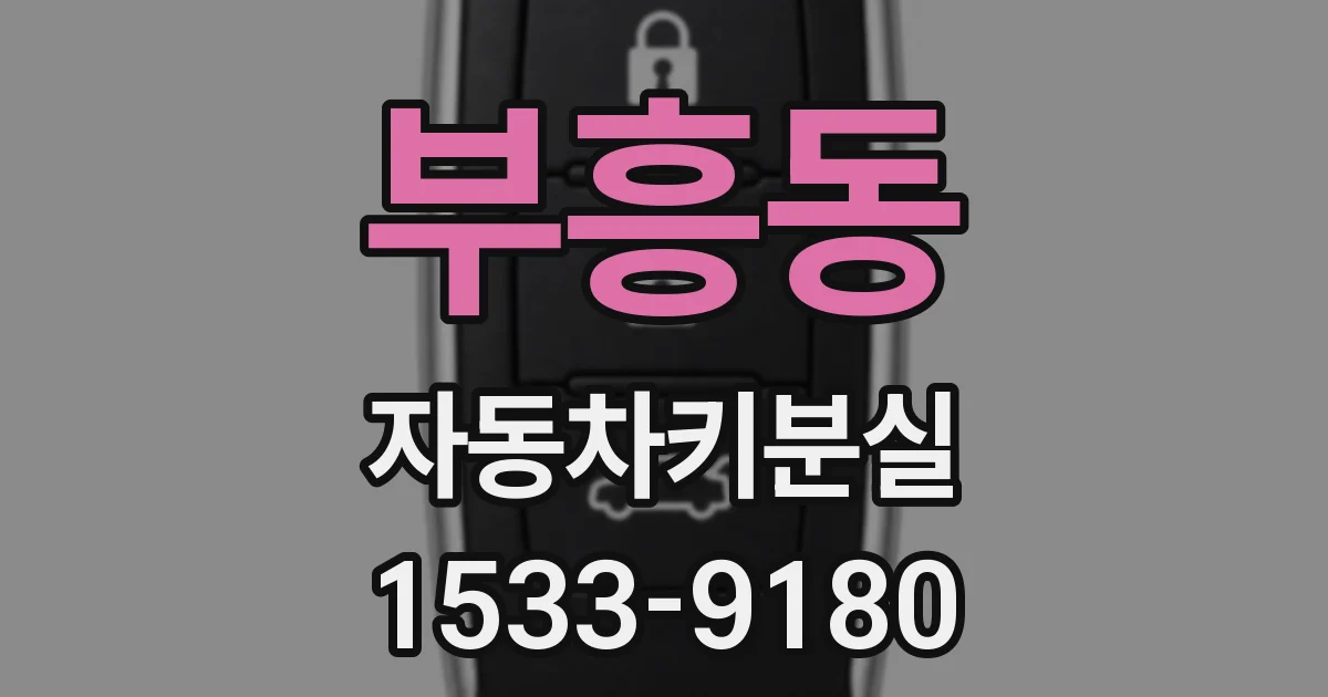 부흥동 자동차키분실