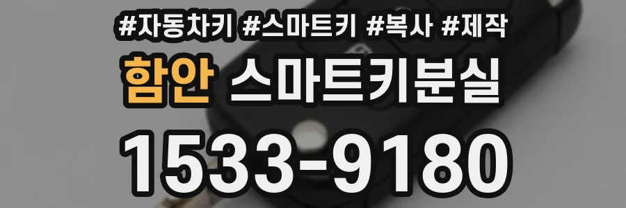 함안 스마트키분실