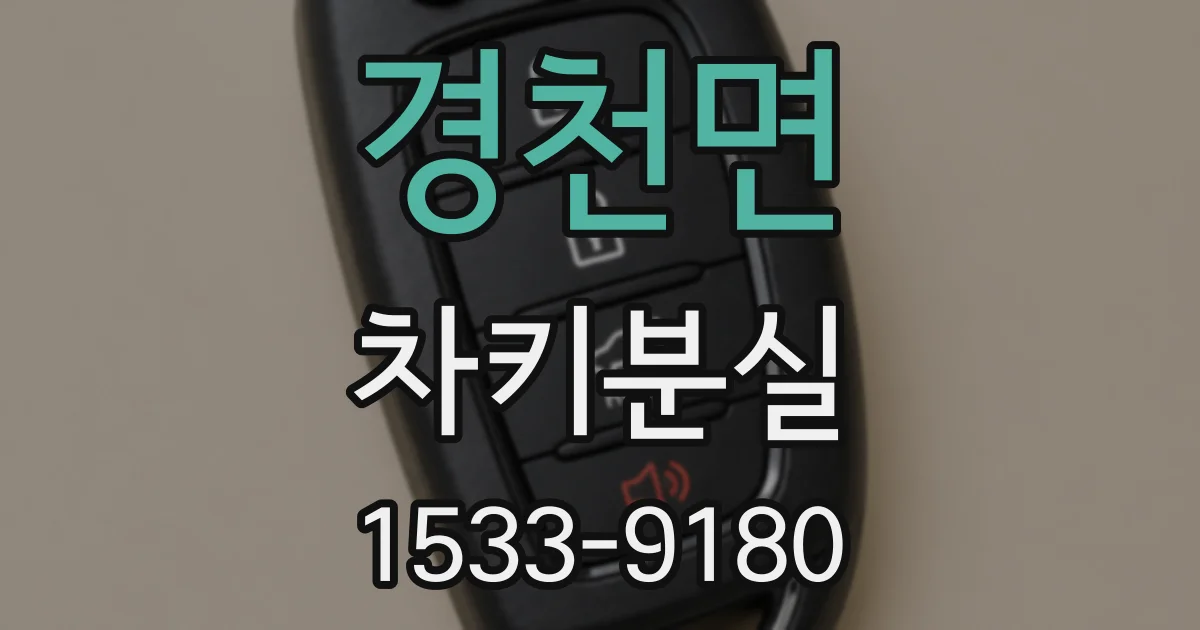 경천면 차키분실