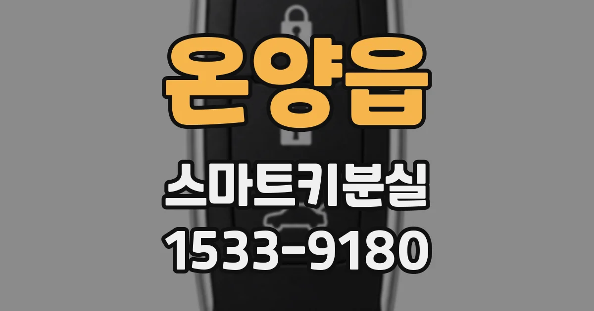 온양읍 스마트키분실