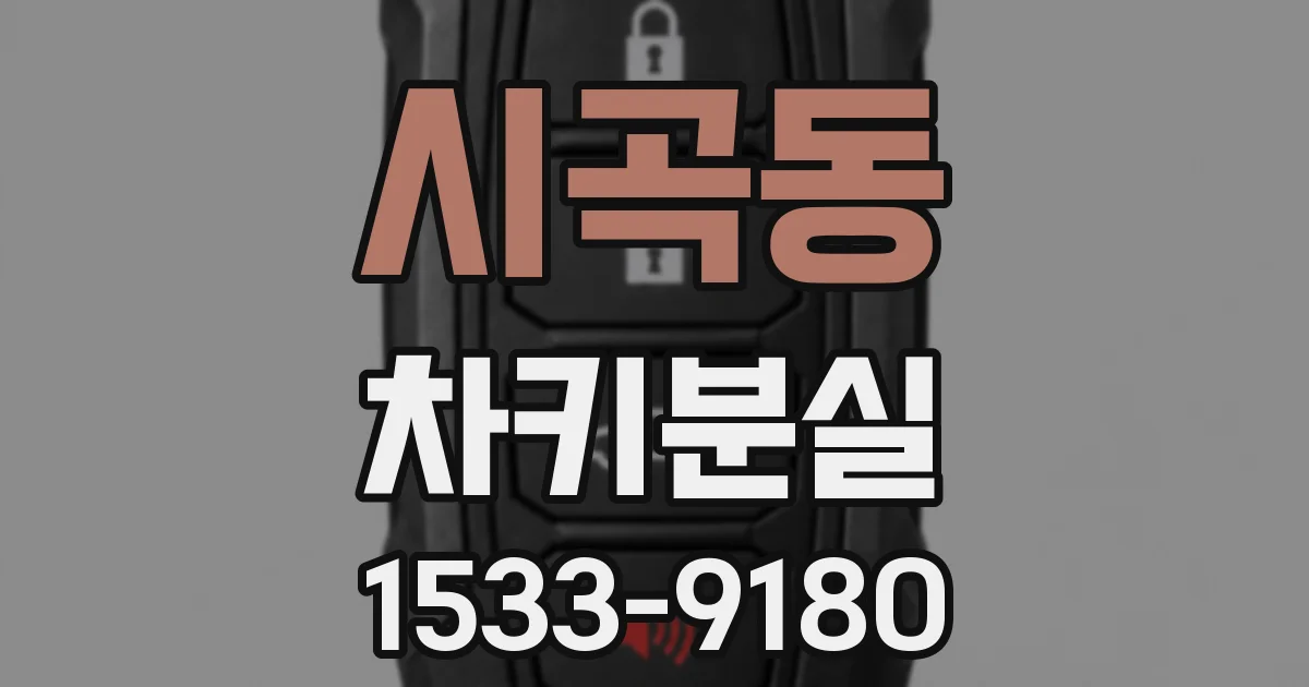 시곡동 차키분실