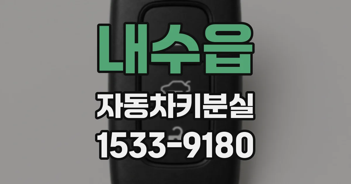 내수읍 자동차키분실