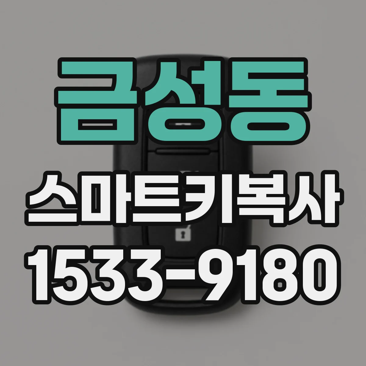 금성동 스마트키복사
